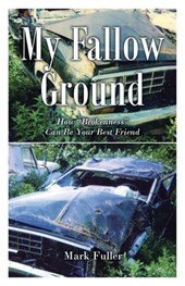 My Fallow Ground