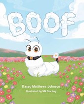 BOOF