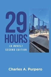 29 Hours (A Novel)