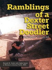 Ramblings of a Dexter Street Doodler