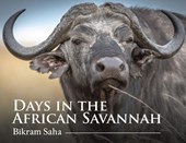 Days in the African Savannah