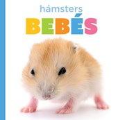 Hámsters Bebés