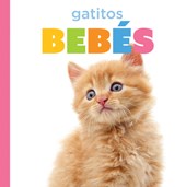 Gatitos Bebés