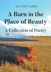 A Burn in the Place of Beauty
