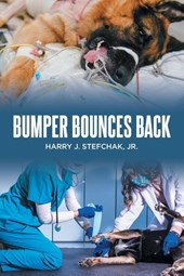 Bumper Bounces Back