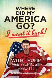 Where Did My America Go?
