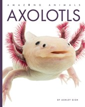 Axolotls