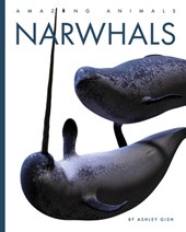 Narwhals