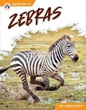 Zebras