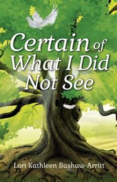 Certain of What I Did Not See