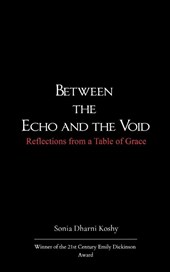 Between the Echo and the Void