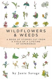 Wildflowers and Weeds