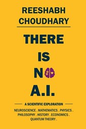 Reeshabh Choudhary: There Is No A.I.