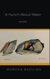 A Hunch About Water