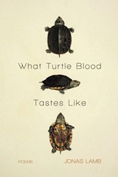 What Turtle Blood Tastes Like