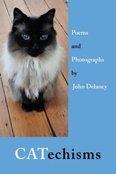 Delaney, J: CATechisms