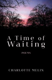 A Time of Waiting