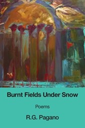 Burnt Fields Under Snow