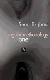 singular methodology one