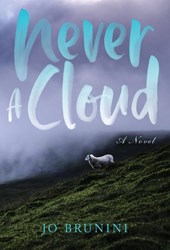 Brunini, J: Never a Cloud
