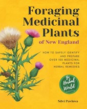 Foraging Medicinal Plants of New England