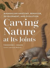 Carving Nature at Its Joints