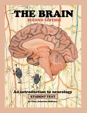 The Brain; Student text