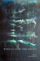 Visions for the Night