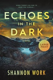 Echoes in the Dark