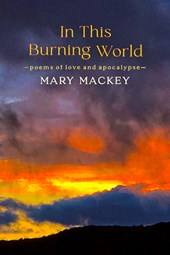 In This Burning World: Poems of Love and Apocalypse