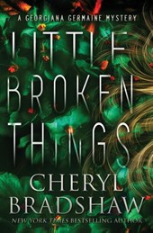 Little Broken Things