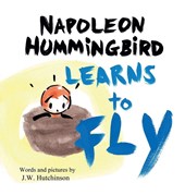 Napoleon Hummingbird Learns to Fly