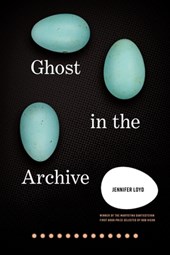 Ghost in the Archive