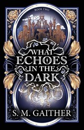 What Echoes in the Dark