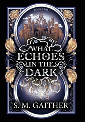 What Echoes in the Dark