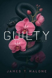 Guilty, A John Greyson Investigation