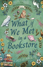 What If We Met In A Bookstore