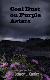 Coal Dust on Purple Asters