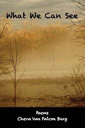 What We Can See
