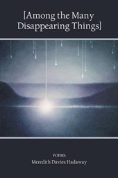 [Among the Many Disappearing Things]