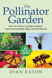 The Pollinator Garden