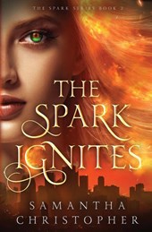 The Spark Ignites