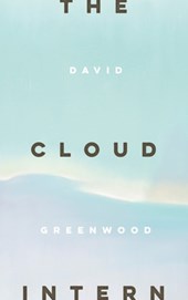 The Cloud Intern