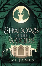 Shadows in the Woods