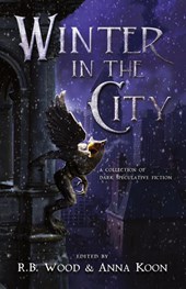 Winter in the City