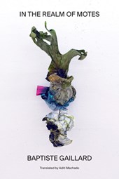 In the Realm of Motes