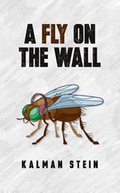 A Fly on the Wall
