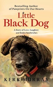Little Black Dog
