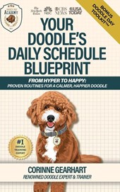 Your Doodle's Daily Schedule Blueprint