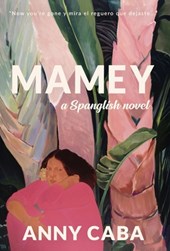 Mamey: a Spanglish novel